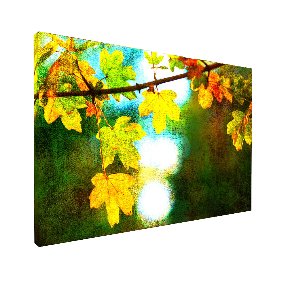 Stock 7 Arundel A canvas
Size: 750x500mm