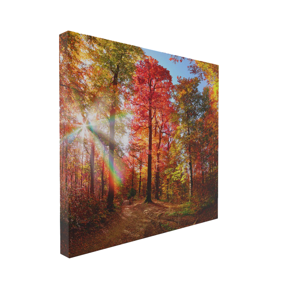 Stock 7 Tideswell B canvas
Size: 550x500mm