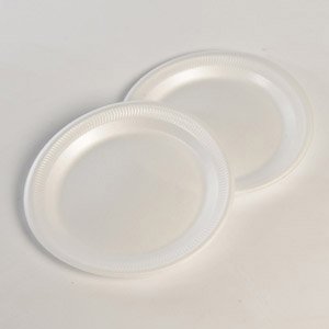 Compostable Bagasse 7